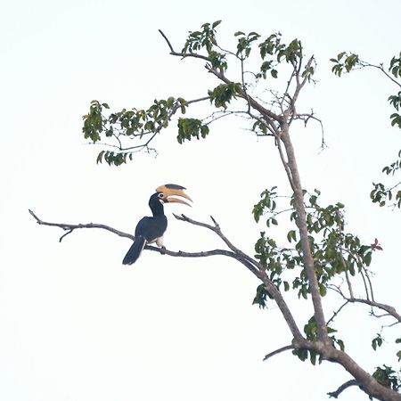 Pelican View Cottages Kataragama Ngoại thất bức ảnh