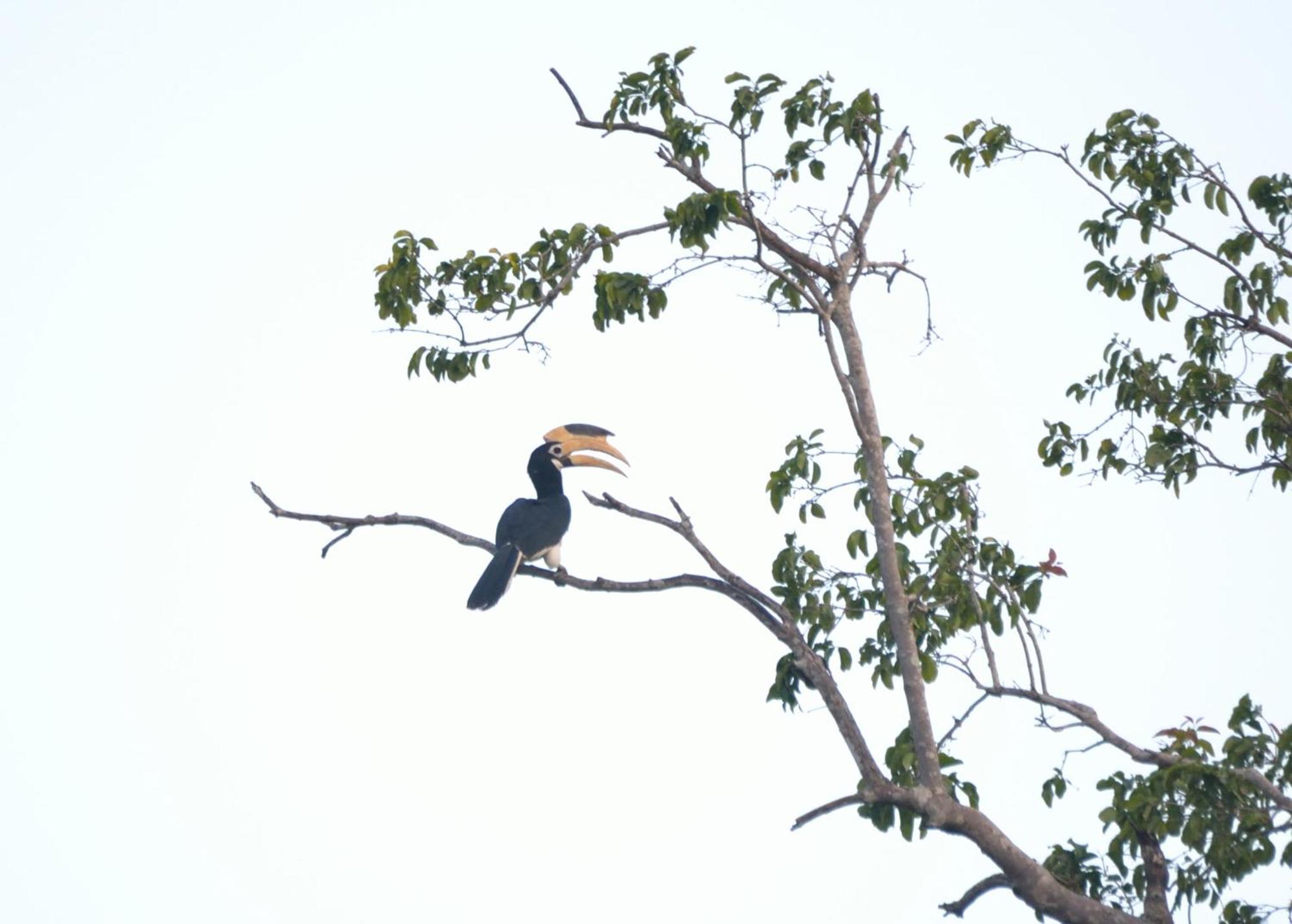 Pelican View Cottages Kataragama Ngoại thất bức ảnh